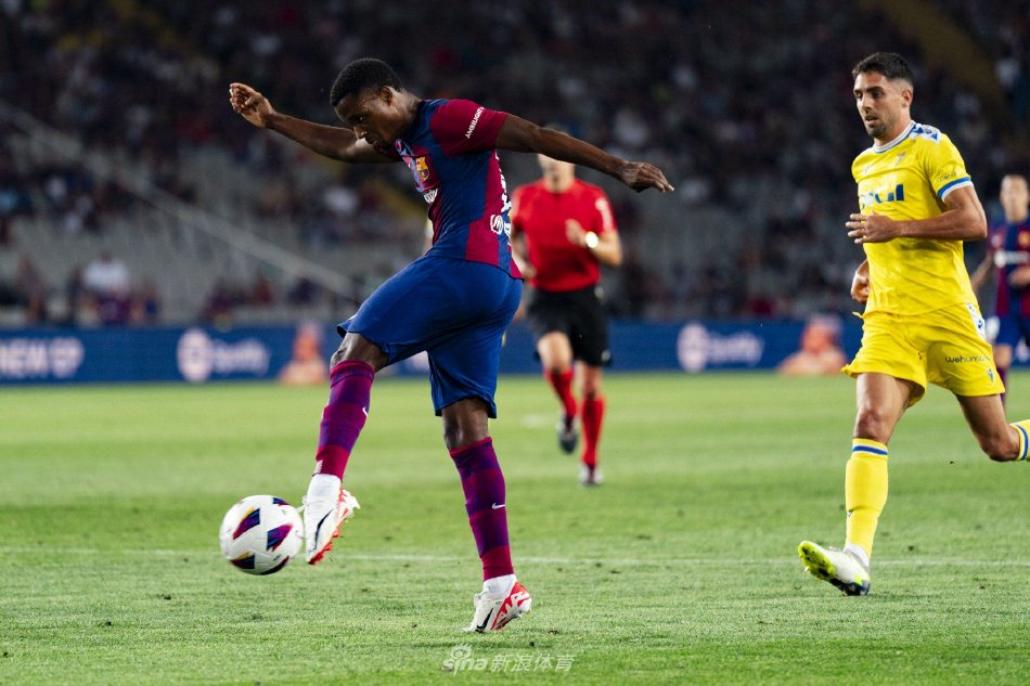 阵容的选择 阵容的选择